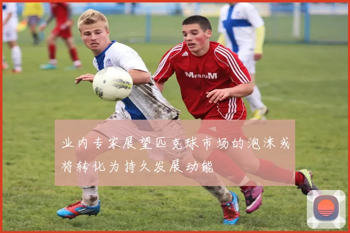 业内专家展望匹克球市场的泡沫或将转化为持久发展动能