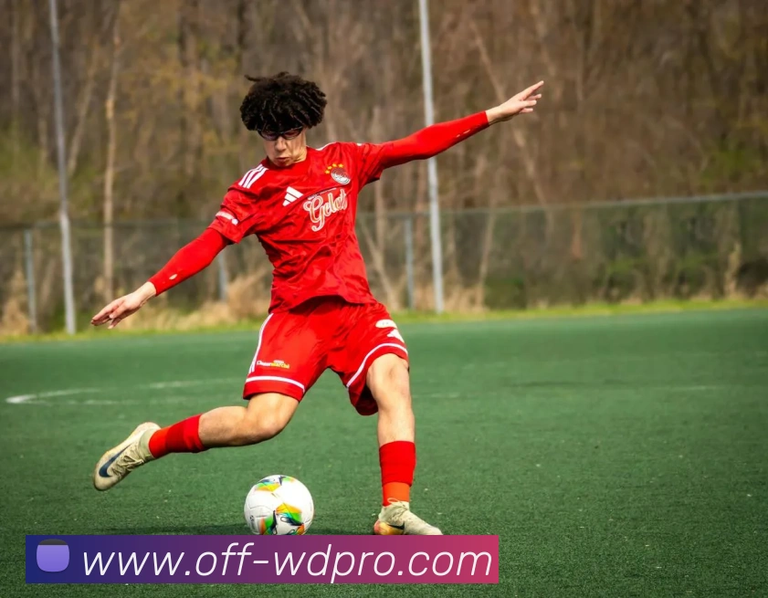 App Interface Preview